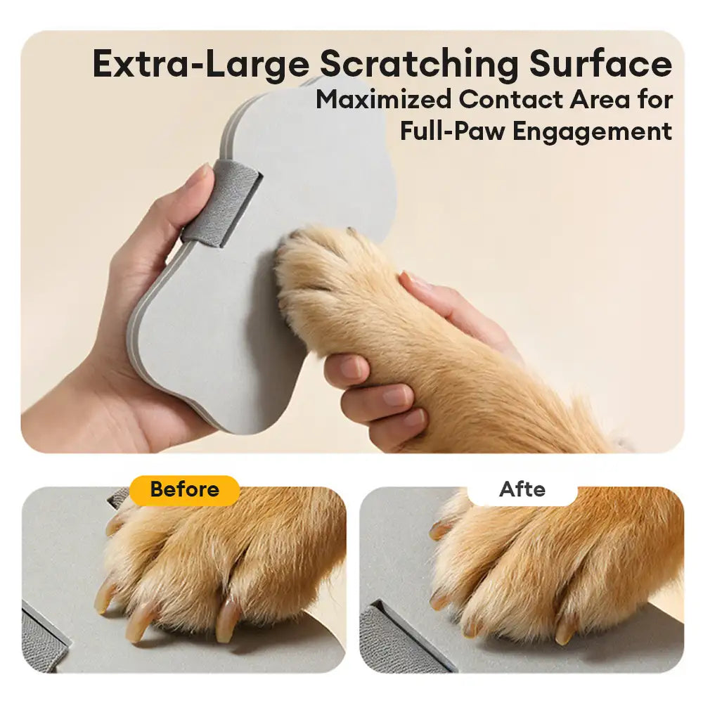 Portable Dog Nail Scratch Board - Pet Grooming Supplies detail view 4 | Petix pet supplies for dogs and cats