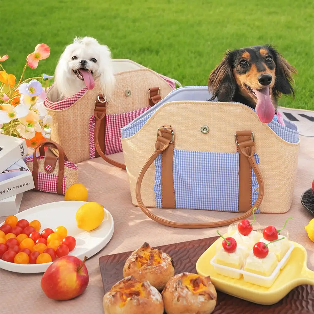 Portable Faux Woven Water-Repellent Dog Cat Carrier Pet Carrier... main product image | Petix pet supplies for dogs and cats