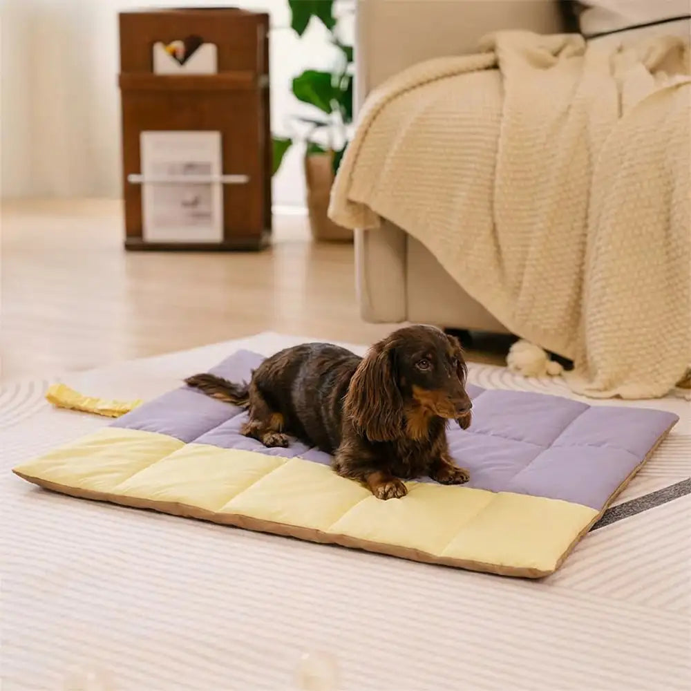 Portable Foldable Double-Sided Water-Repellent Dog Mat for Outdoor Tr... detail view 3 | Petix pet supplies for dogs and cats