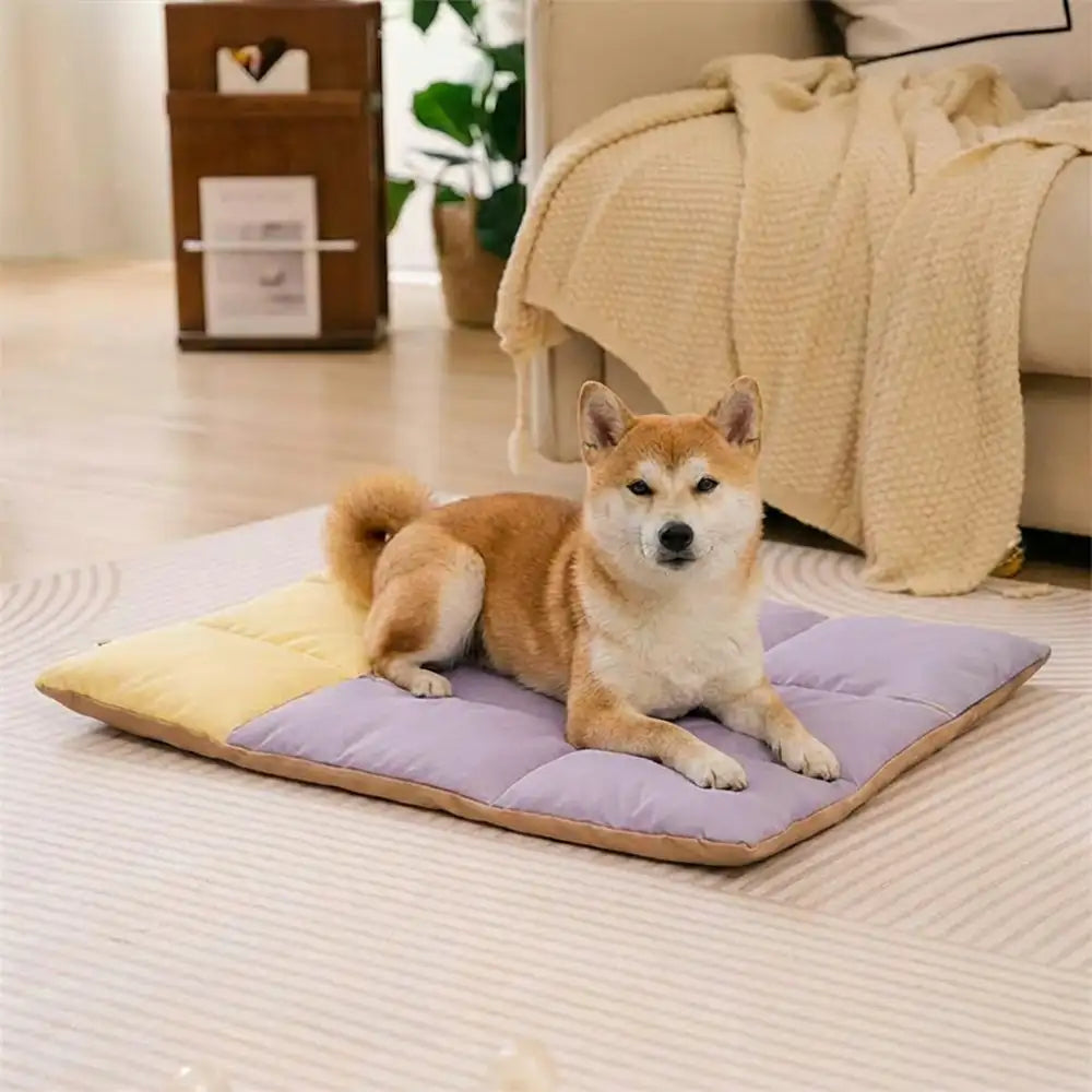 Portable Foldable Double-Sided Water-Repellent Dog Mat for Outdoor T... detail view 16 | Petix pet supplies for dogs and cats