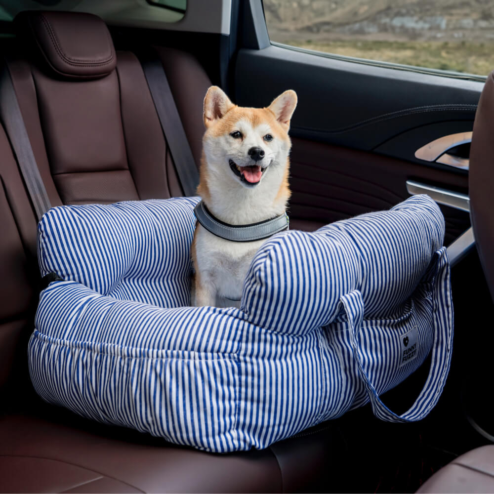 Portable ISOFIX Dog Car Seat Bed with LATCH System - Dog... lifestyle and size view 33 | Petix pet supplies for dogs and cats
