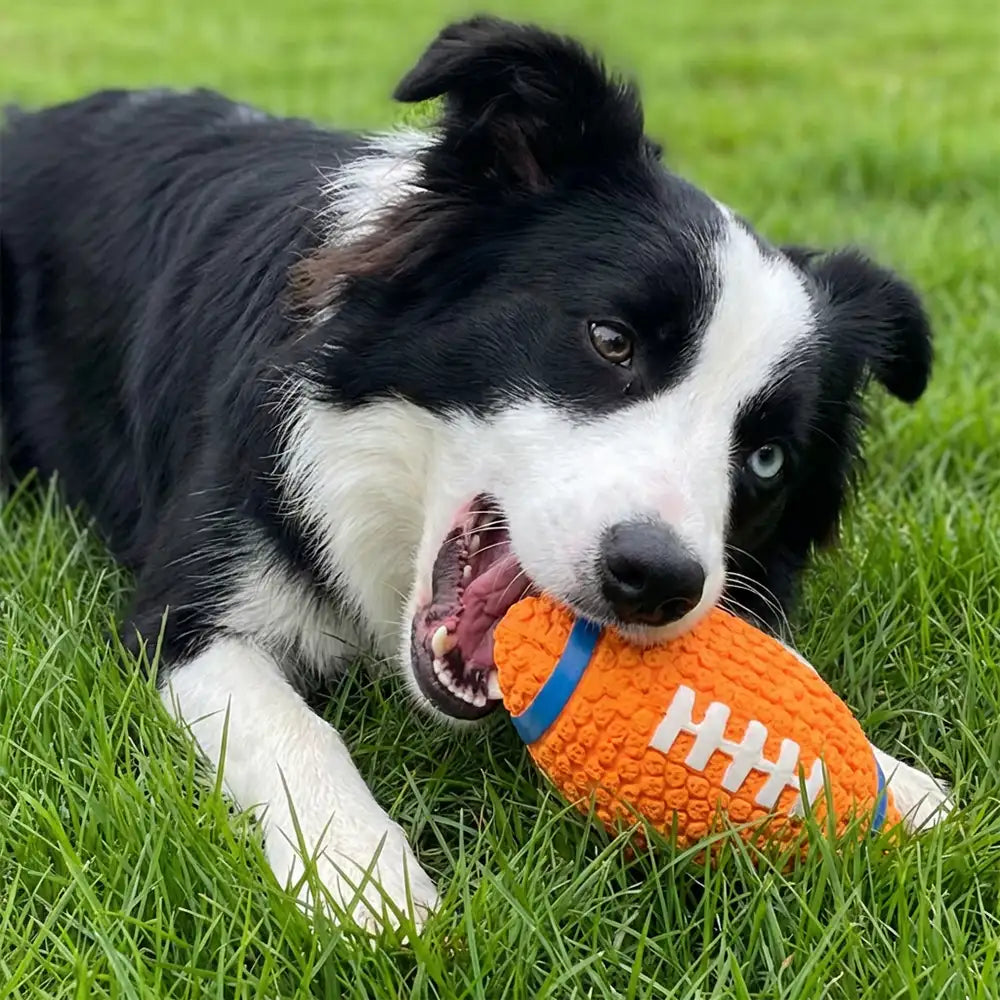 Rugby Dog Chew Toy with Squeaky - Dog Toys detail view 3 | Petix pet supplies for dogs and cats