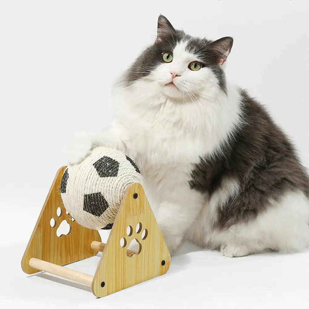 Sisal Cat Scratching Ball - Cat Toys main product image | Petix pet supplies for dogs and cats