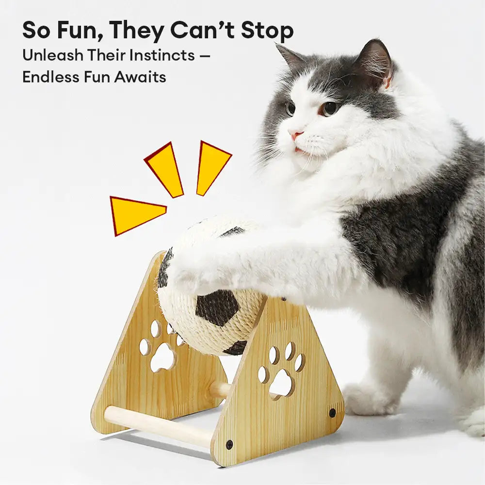 Sisal Cat Scratching Ball - Cat Toys detail view 3 | Petix pet supplies for dogs and cats