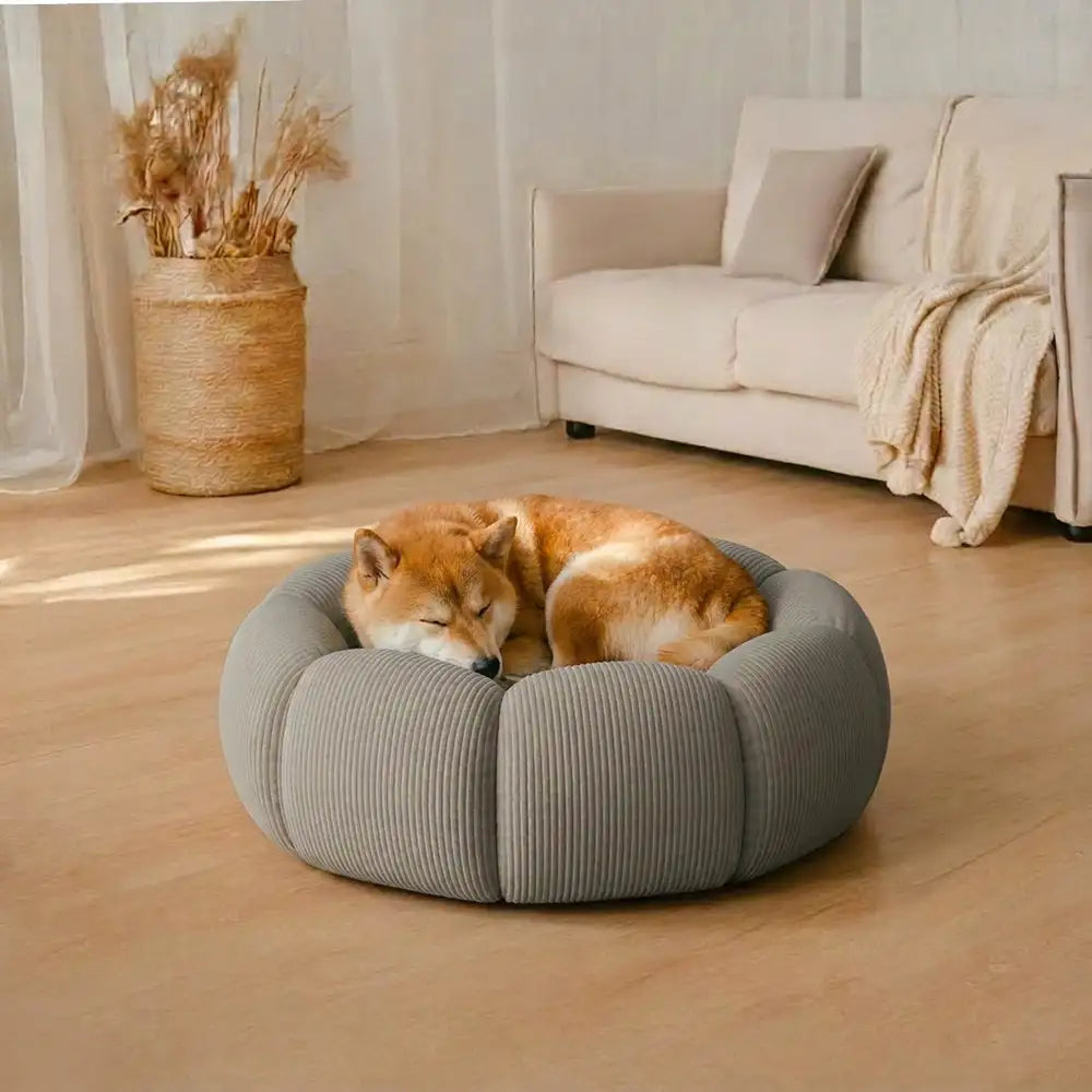 Soft Neck Support Washable Round Cat Bed Dog Bed - Dog Beds lifestyle and size view 11 | Petix pet supplies for dogs and cats