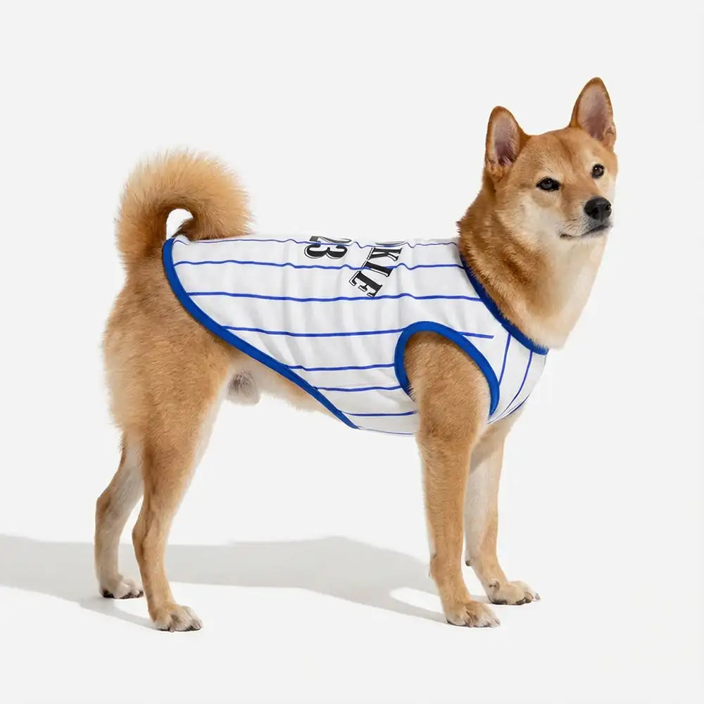 Sporty Style Breathable Dog Vest for Puppy - Dog Apparel detail view 3 | Petix pet supplies for dogs and cats