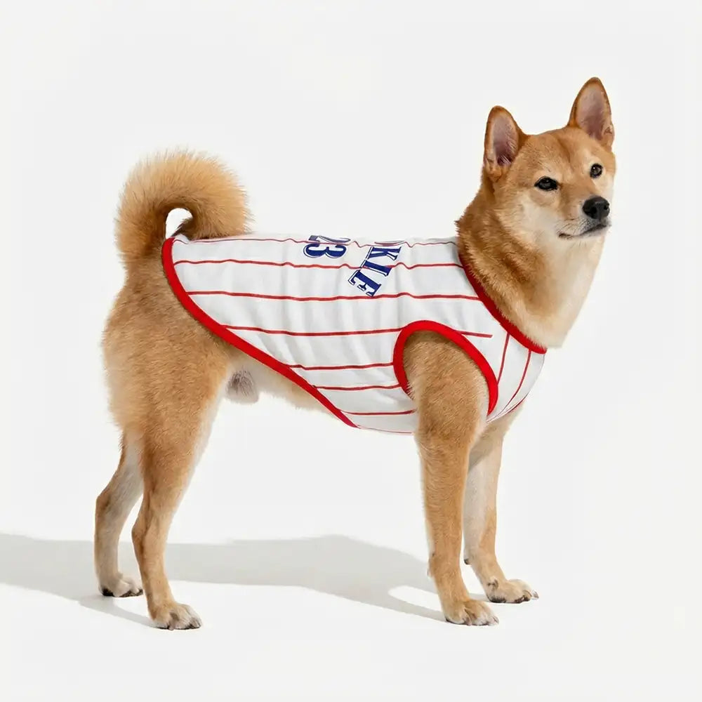 Sporty Style Breathable Dog Vest for Puppy - Dog Apparel main product image | Petix pet supplies for dogs and cats