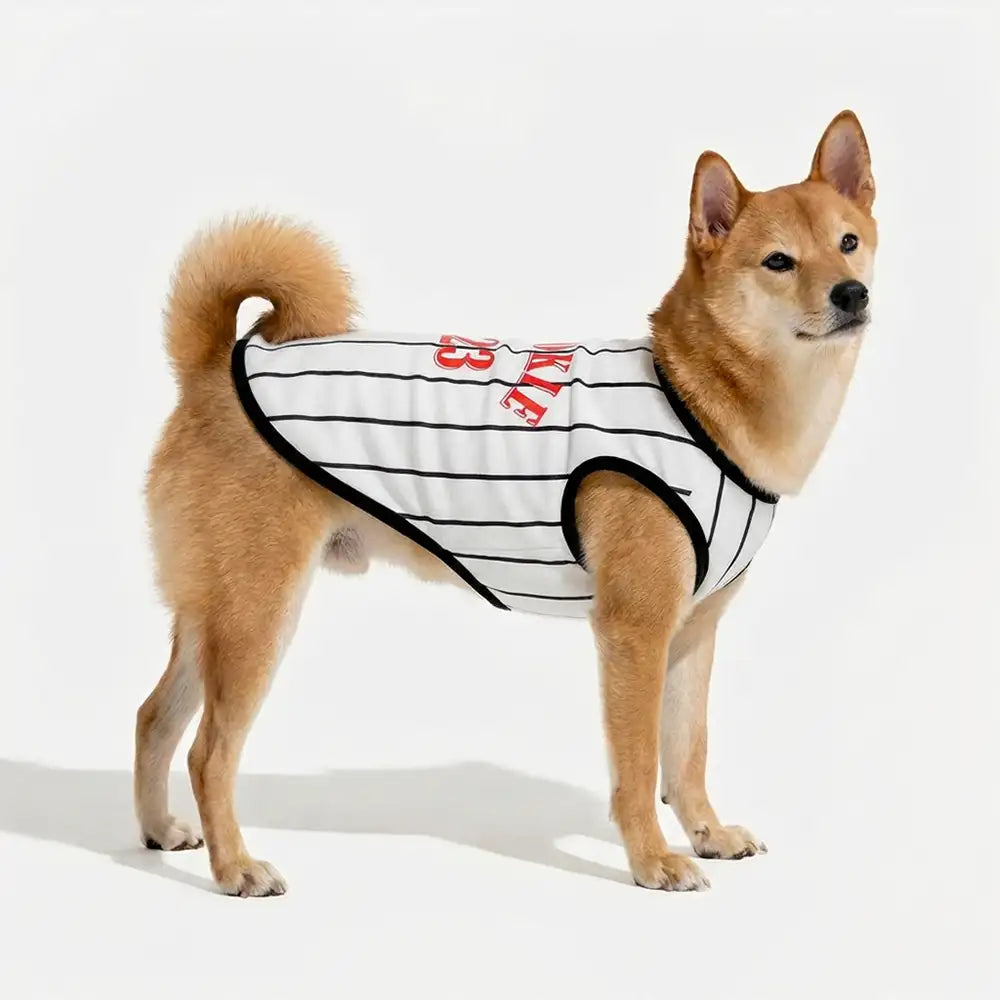 Sporty Style Breathable Dog Vest for Puppy - Dog Apparel detail view 2 | Petix pet supplies for dogs and cats
