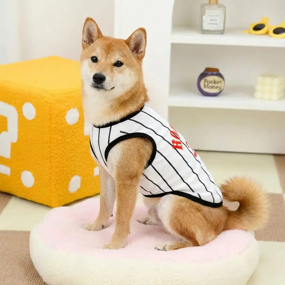Sporty Style Breathable Dog Vest for Puppy - Dog Apparel detail view 10 | Petix pet supplies for dogs and cats