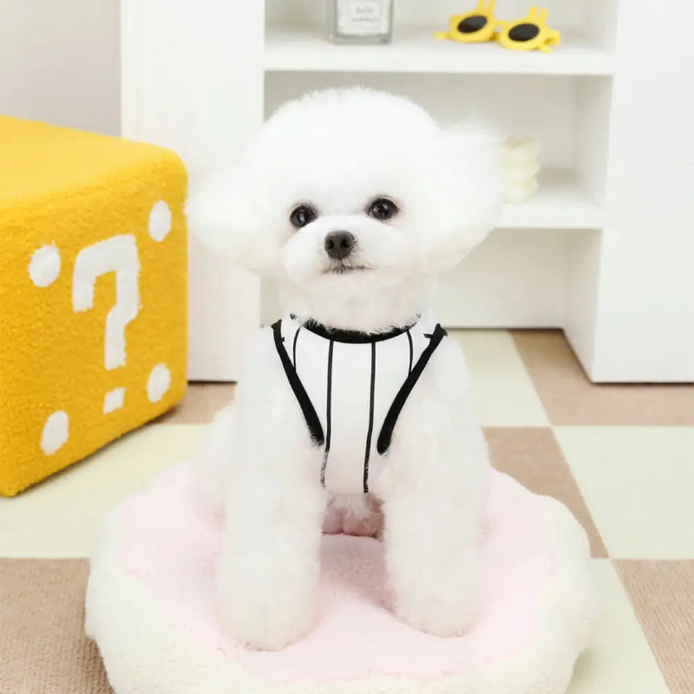 Sporty Style Breathable Dog Vest for Puppy - Dog Apparel detail view 11 | Petix pet supplies for dogs and cats
