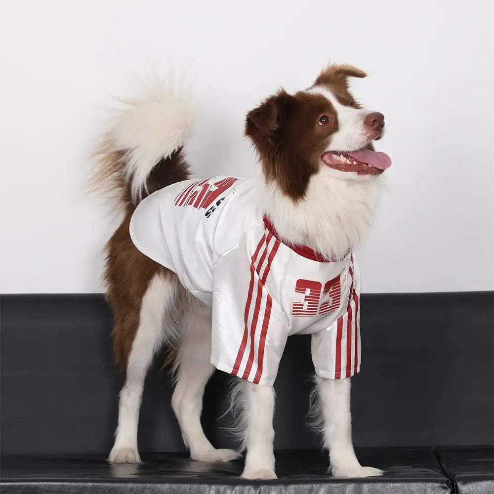 Striped Retro Reflective Dog T-Shirt for All Breeds - Dog Apparel detail view 8 | Petix pet supplies for dogs and cats