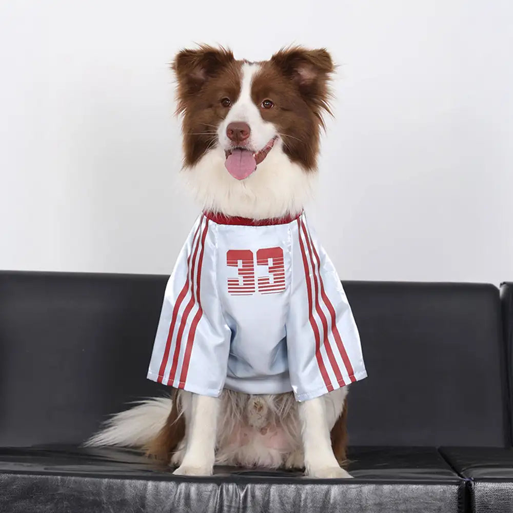 Striped Retro Reflective Dog T-Shirt for All Breeds - Dog Apparel main product image | Petix pet supplies for dogs and cats