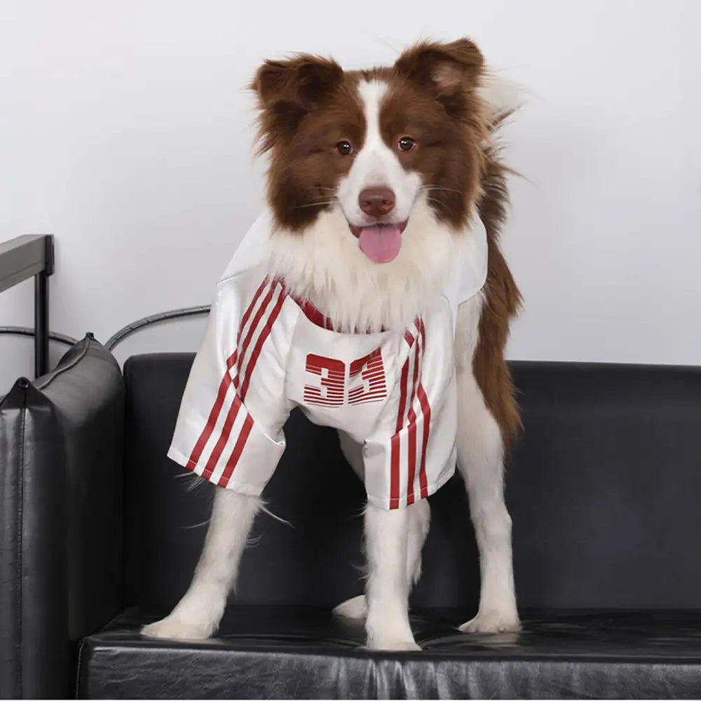 Striped Retro Reflective Dog T-Shirt for All Breeds - Dog... lifestyle and size view 9 | Petix pet supplies for dogs and cats