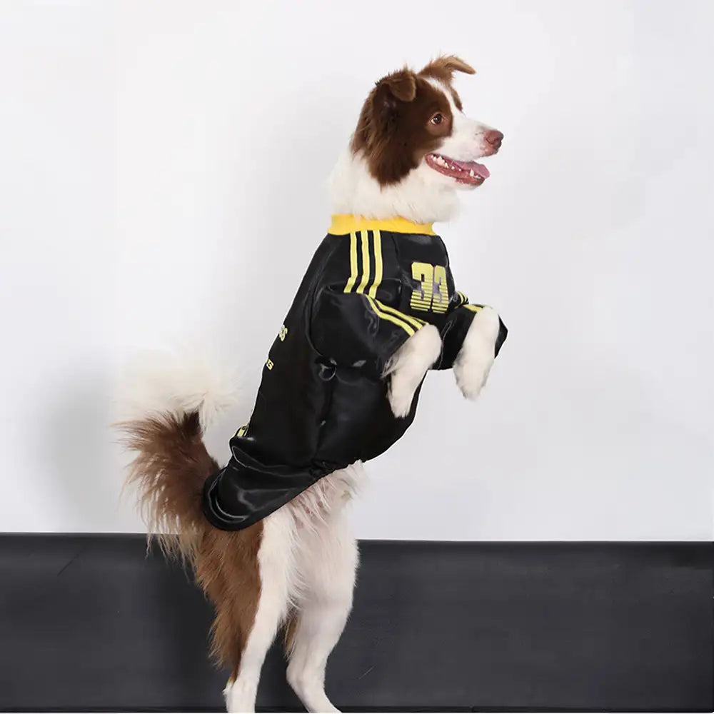 Striped Retro Reflective Dog T-Shirt for All Breeds - Dog Apparel detail view 2 | Petix pet supplies for dogs and cats