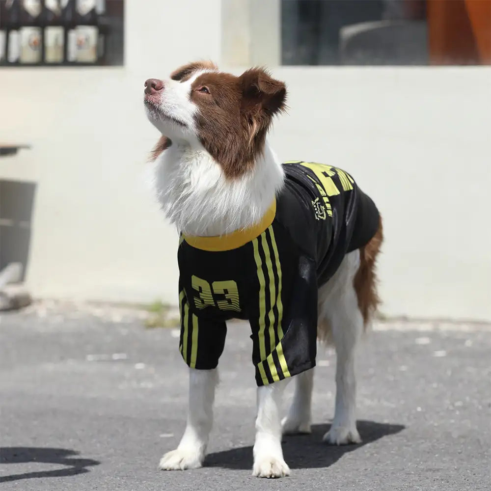 Striped Retro Reflective Dog T-Shirt for All Breeds - Dog Apparel detail view 5 | Petix pet supplies for dogs and cats