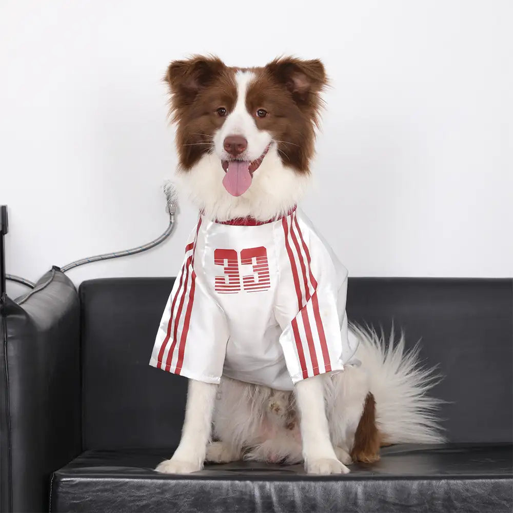 Striped Retro Reflective Dog T-Shirt for All Breeds - Dog Apparel detail view 7 | Petix pet supplies for dogs and cats