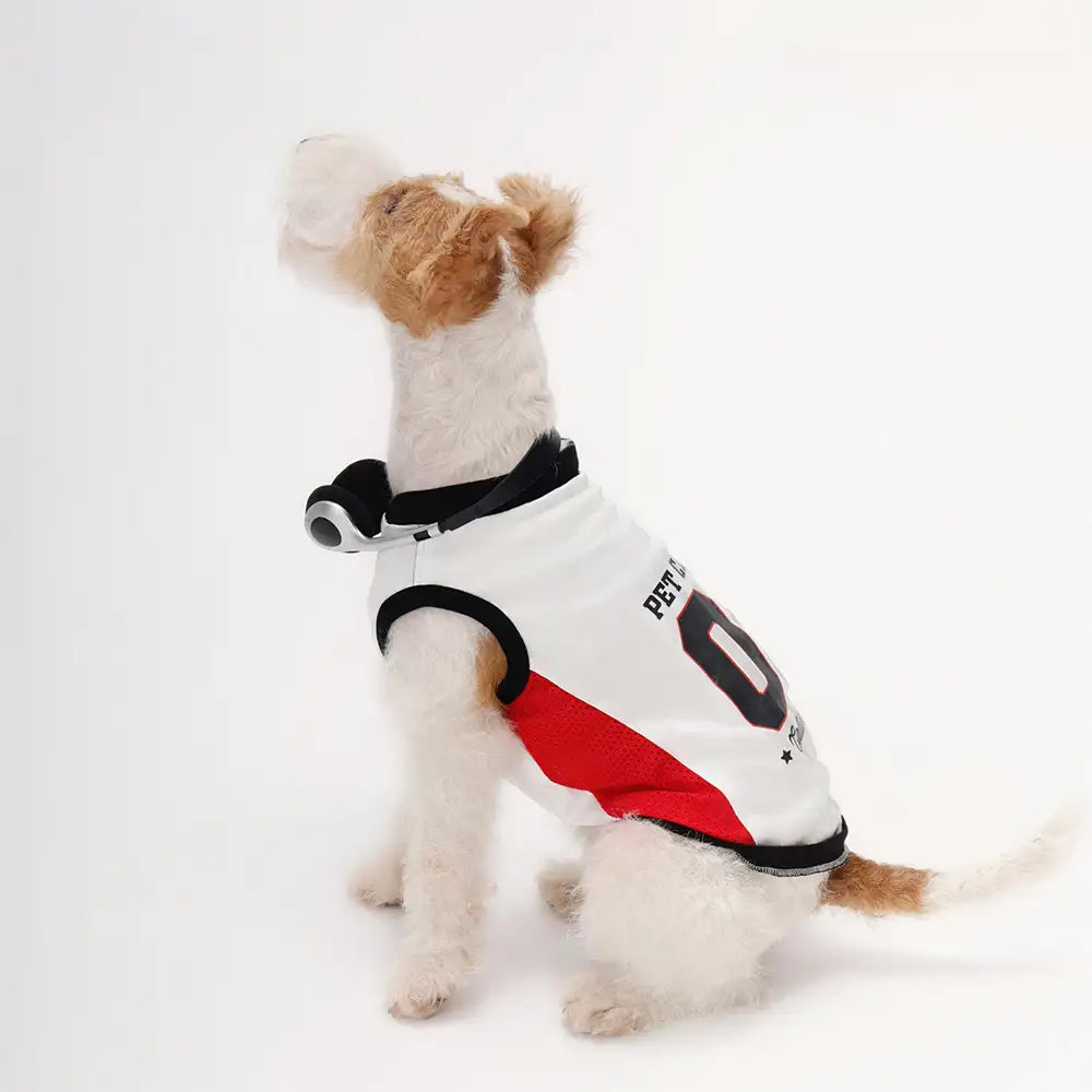 Stylish Color-Blocked Breathable Dog Vest - Dog Apparel lifestyle and size view 10 | Petix pet supplies for dogs and cats