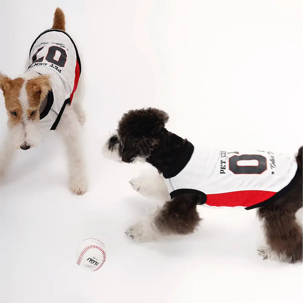 Stylish Color-Blocked Breathable Dog Vest - Dog Apparel detail view 3 | Petix pet supplies for dogs and cats