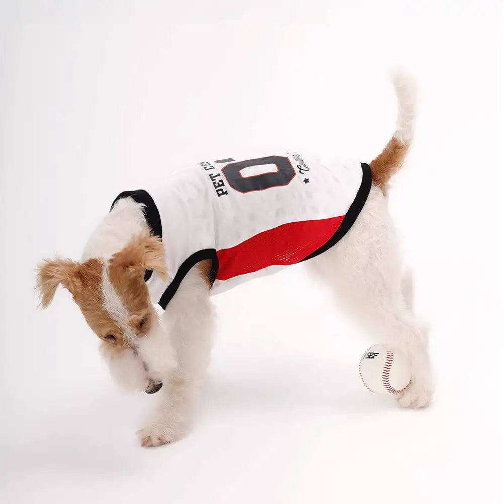 Stylish Color-Blocked Breathable Dog Vest - Dog Apparel detail view 9 | Petix pet supplies for dogs and cats