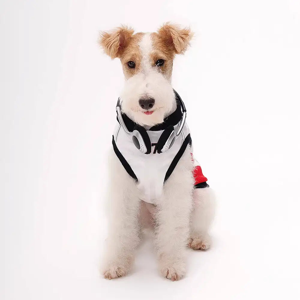 Stylish Color-Blocked Breathable Dog Vest - Dog Apparel detail view 6 | Petix pet supplies for dogs and cats