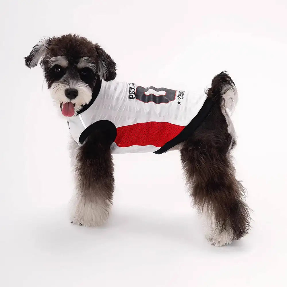 Stylish Color-Blocked Breathable Dog Vest - Dog Apparel detail view 2 | Petix pet supplies for dogs and cats