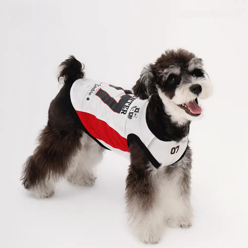 Stylish Color-Blocked Breathable Dog Vest - Dog Apparel detail view 7 | Petix pet supplies for dogs and cats