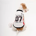 Stylish Color-Blocked Breathable Dog Vest - Dog Apparel main product image | Petix pet supplies for dogs and cats
