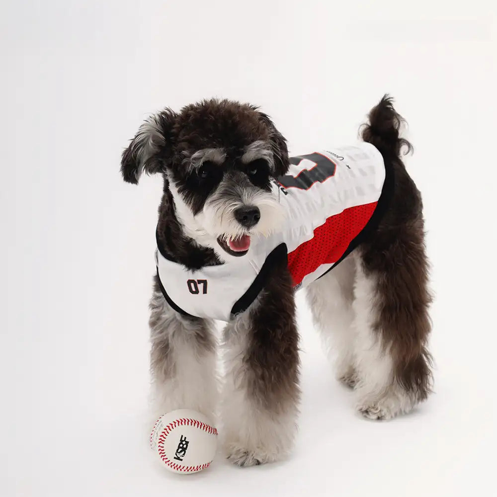 Stylish Color-Blocked Breathable Dog Vest - Dog Apparel detail view 8 | Petix pet supplies for dogs and cats