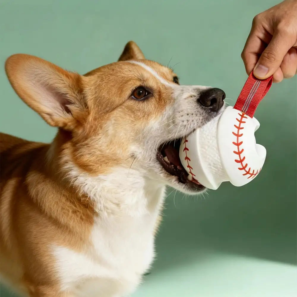 Teething & Play Elastic Interactive Dog Chew Toy - Dog Toys detail view 2 | Petix pet supplies for dogs and cats