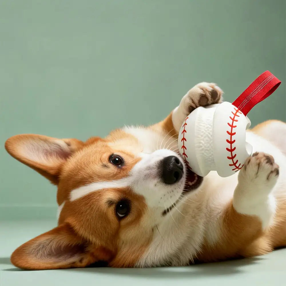 Teething & Play Elastic Interactive Dog Chew Toy - Dog Toys main product image | Petix pet supplies for dogs and cats