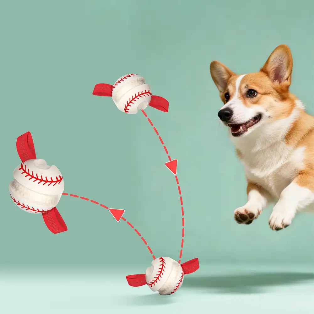 Teething & Play Elastic Interactive Dog Chew Toy - Dog Toys detail view 7 | Petix pet supplies for dogs and cats
