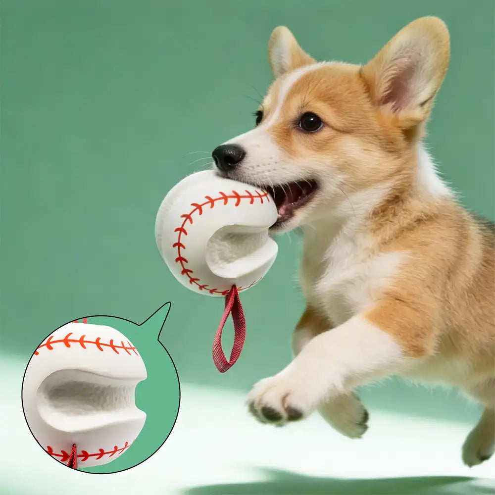 Teething & Play Elastic Interactive Dog Chew Toy - Dog Toys detail view 6 | Petix pet supplies for dogs and cats
