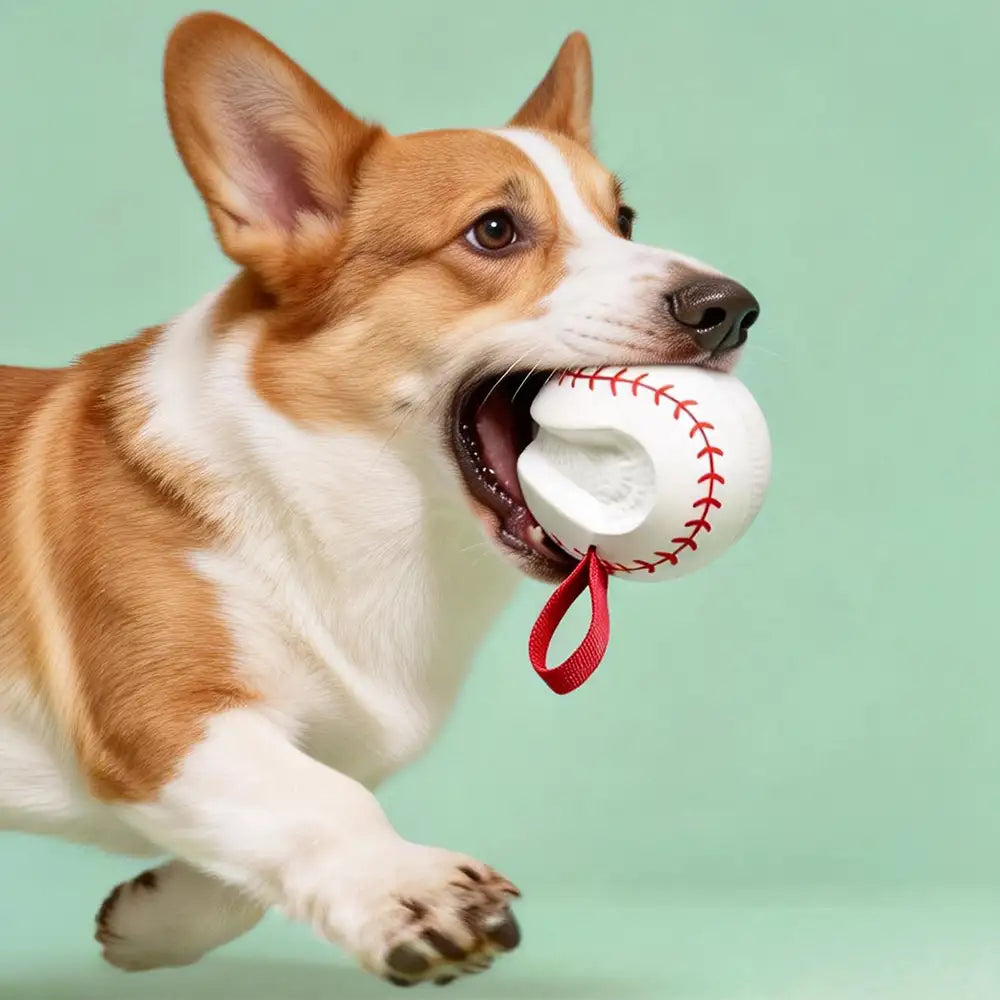 Teething & Play Elastic Interactive Dog Chew Toy - Dog Toys detail view 3 | Petix pet supplies for dogs and cats
