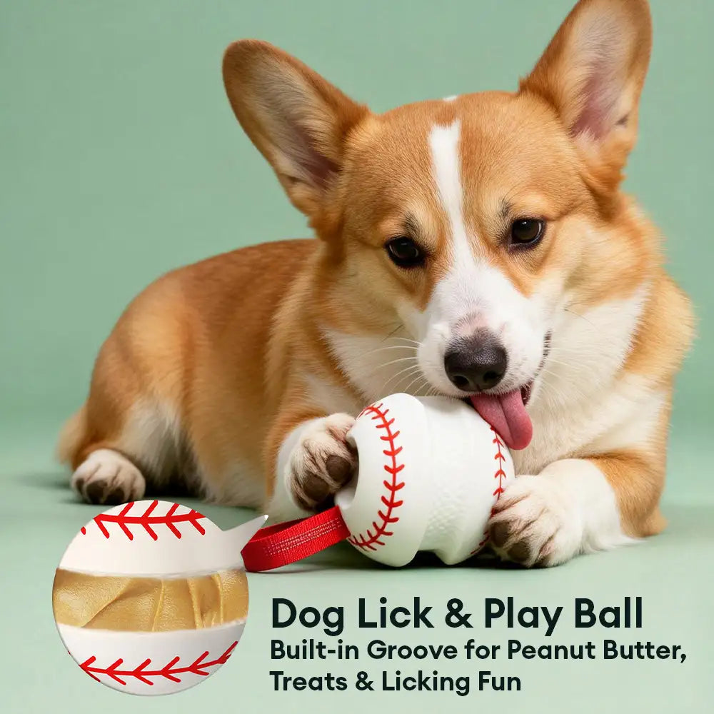 Teething & Play Elastic Interactive Dog Chew Toy - Dog Toys detail view 5 | Petix pet supplies for dogs and cats