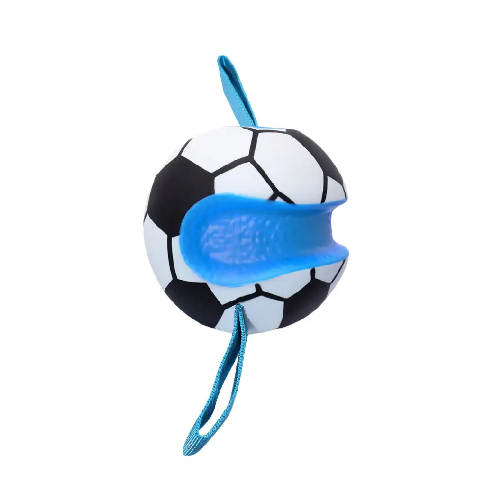 Teething & Play Elastic Interactive Dog Chew Toy - Dog Toys detail view 11 | Petix pet supplies for dogs and cats