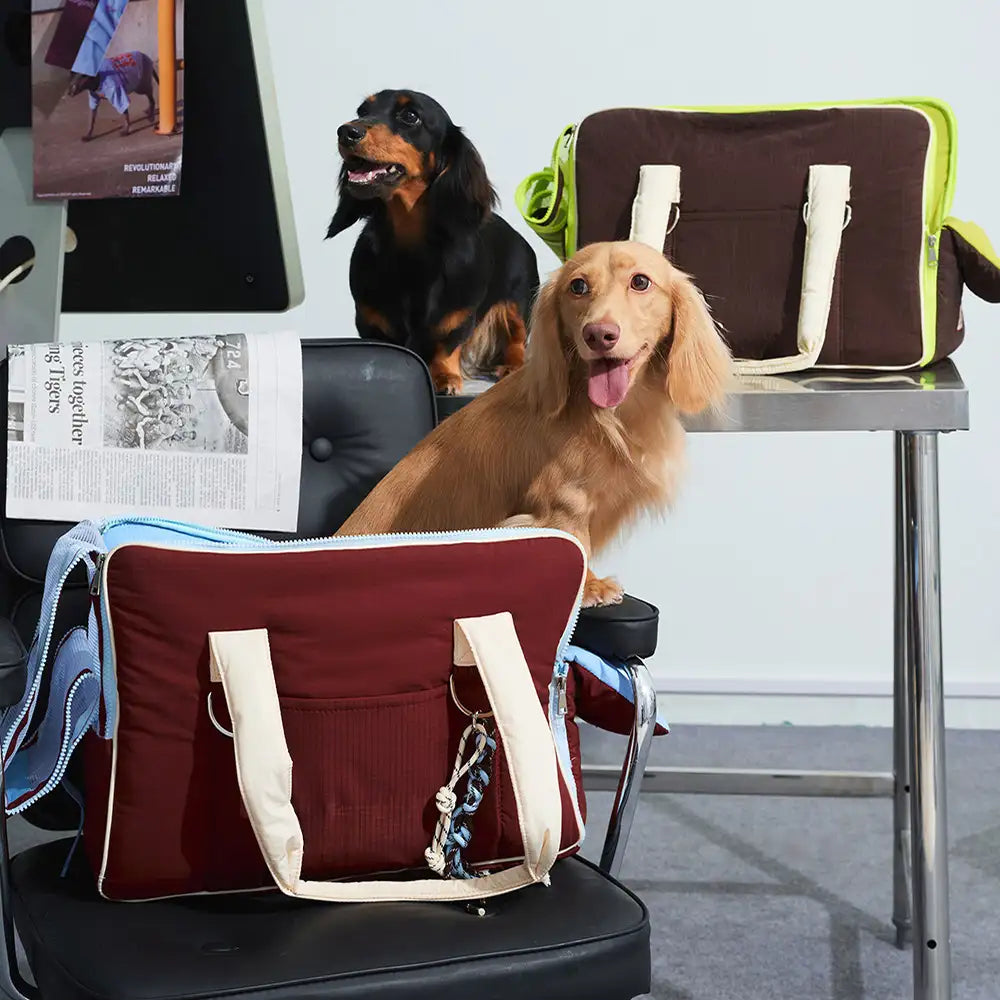 Urban Commuter Color-Block Multi-functional Pet Carrier Bag Dog Cat C... detail view 3 | Petix pet supplies for dogs and cats