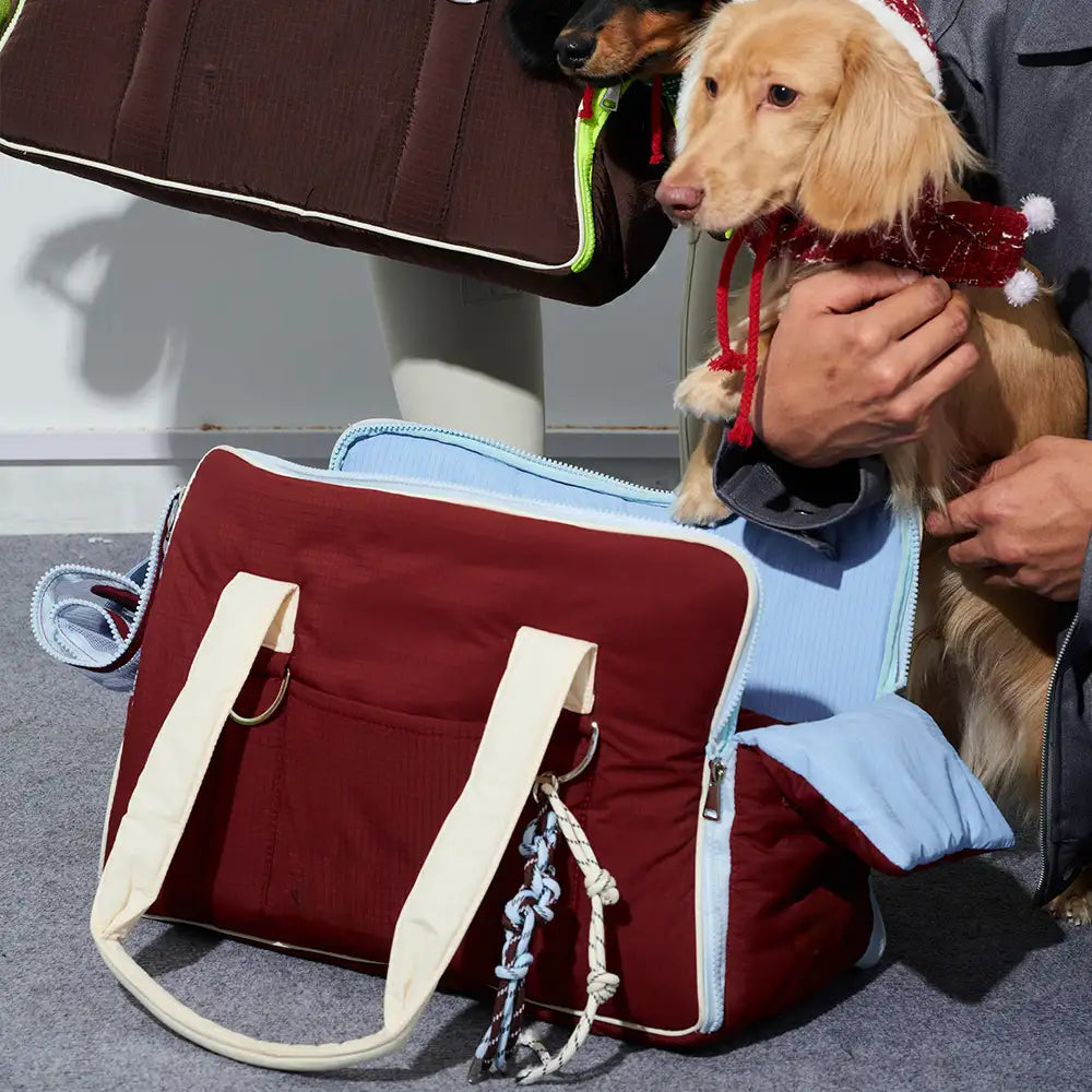 Urban Commuter Color-Block Multi-functional Pet Carrier... lifestyle and size view 10 | Petix pet supplies for dogs and cats