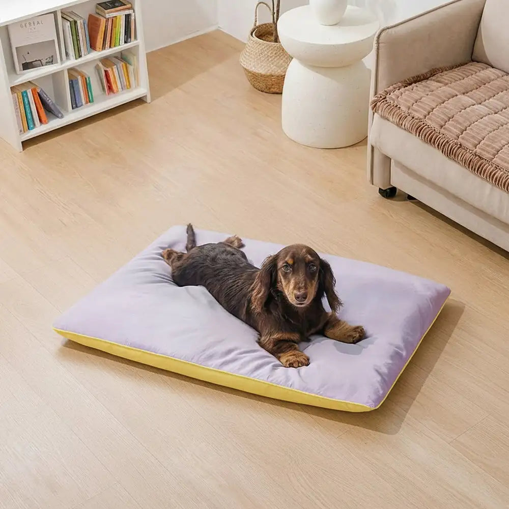 Water-Repellent Scratch-Resistant Double-Sided Washable Dog Mat - Do... detail view 10 | Petix pet supplies for dogs and cats