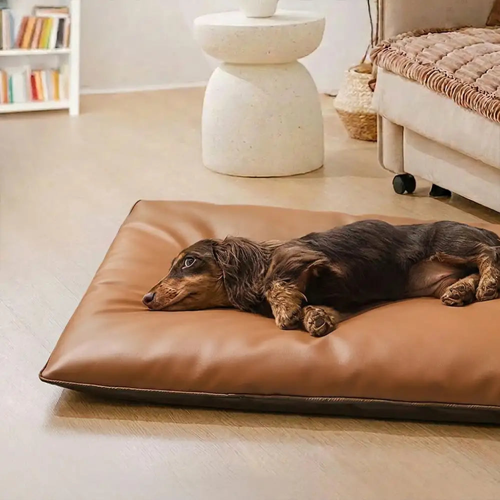 Water-Repellent Scratch-Resistant Double-Sided Washable Dog Mat - Dog... detail view 8 | Petix pet supplies for dogs and cats