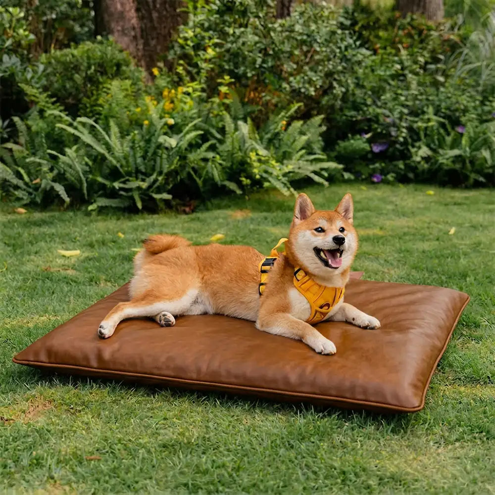 Water-Repellent Scratch-Resistant Double-Sided Washable Dog Mat... main product image | Petix pet supplies for dogs and cats