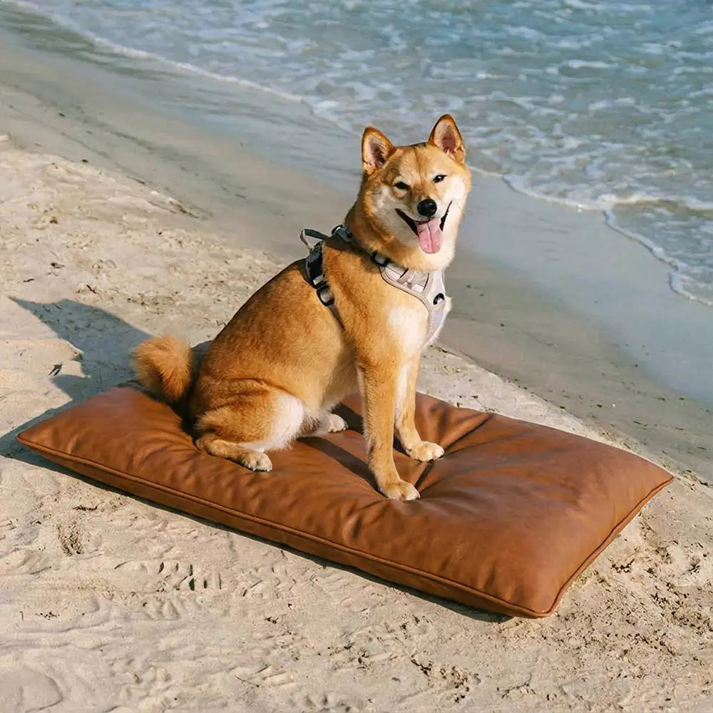 Water-Repellent Scratch-Resistant Double-Sided Washable Dog Mat - Do... detail view 11 | Petix pet supplies for dogs and cats