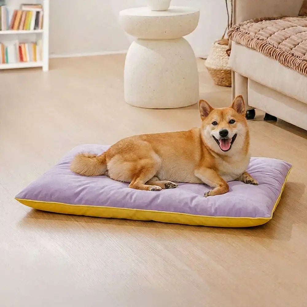 Water-Repellent Scratch-Resistant Double-Sided Washable Dog Mat - Dog... detail view 4 | Petix pet supplies for dogs and cats