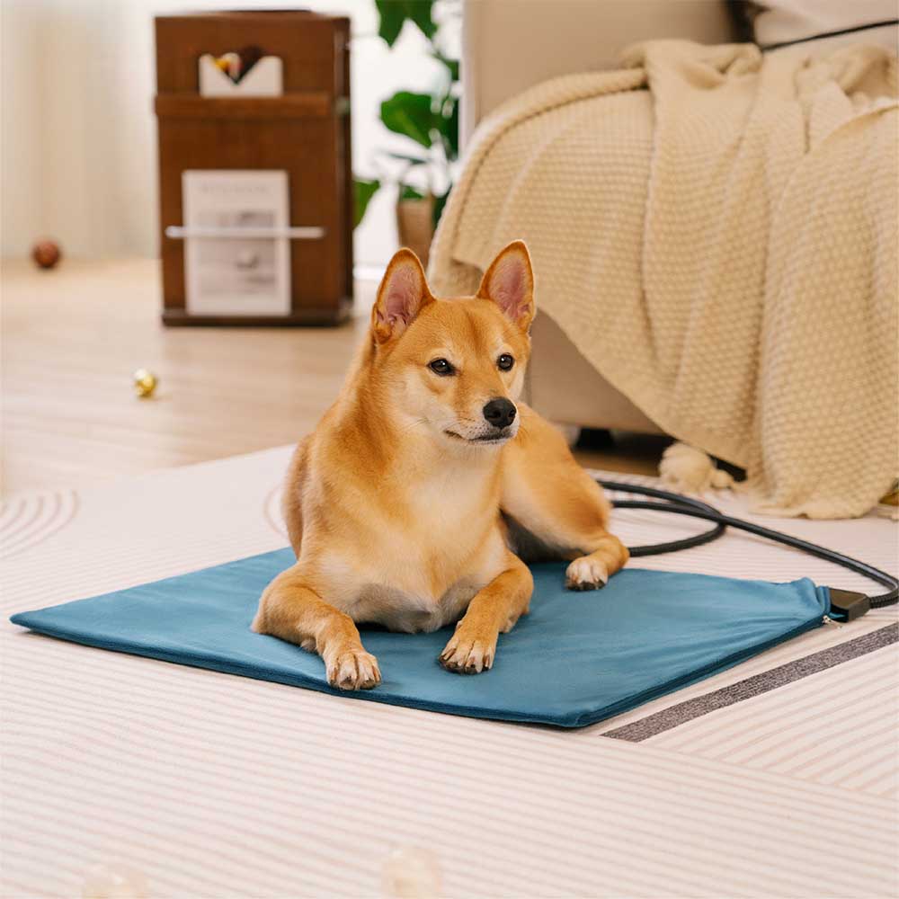 Electrical Pet Heated Pad - Waterproof＆Chewproof For Safe Warmth... main product image | Petix pet supplies for dogs and cats