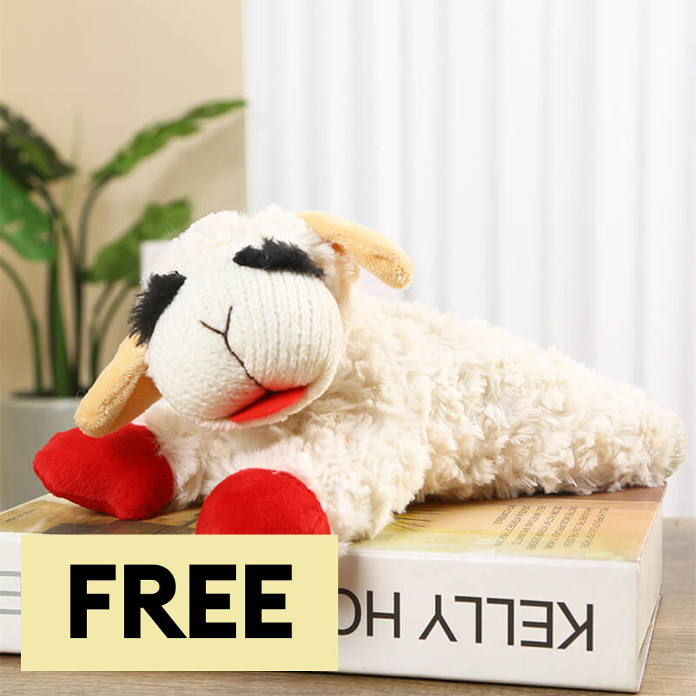 Plush Lamb Squeaker Toy Dog Interactive Toys - Dog Toys main product image | Petix pet supplies for dogs and cats
