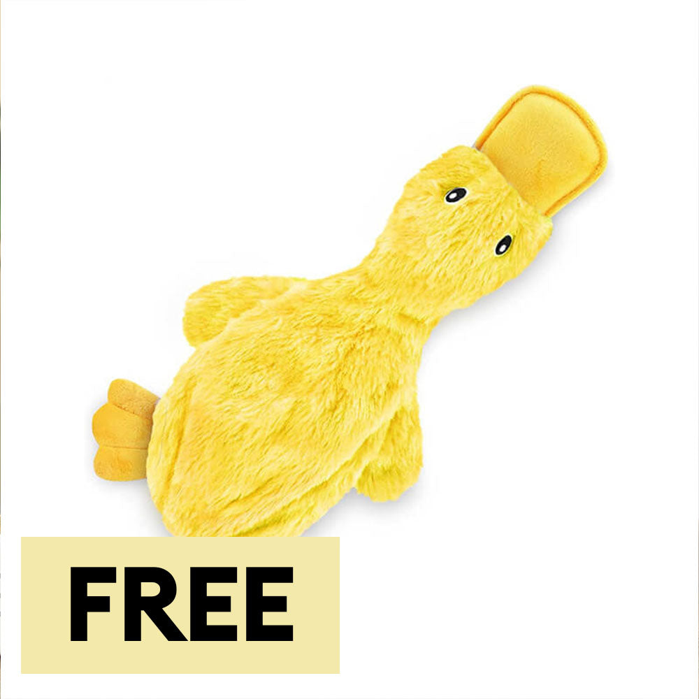 Cute Duck Plush Toy With Squeaker Dog Chew Toys - Dog Toys main product image | Petix pet supplies for dogs and cats