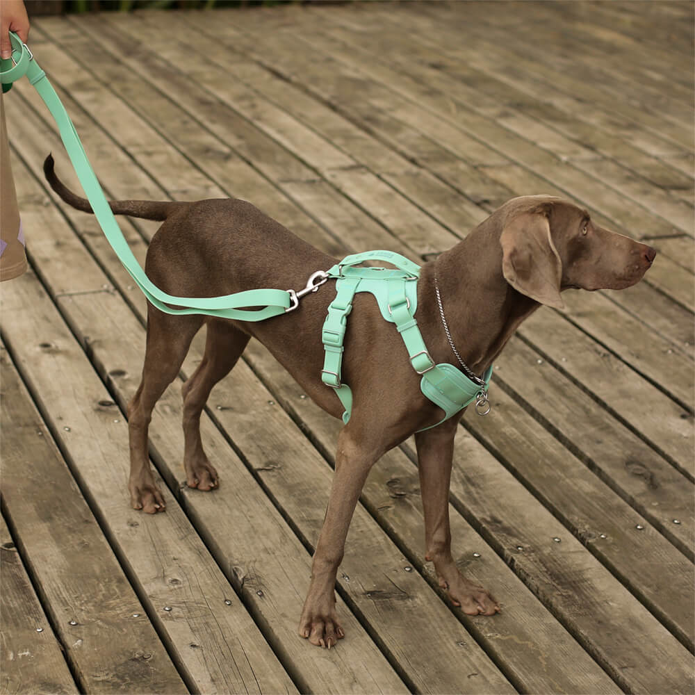Gummy Cool Dog Accessories Walk Set - Pet Leashes & Collars & Ha... main product image | Petix pet supplies for dogs and cats