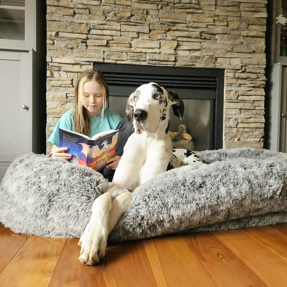 Donut Orthopedic Outdoor Dog Bed - Dog Beds detail view 25 | Petix pet supplies for dogs and cats