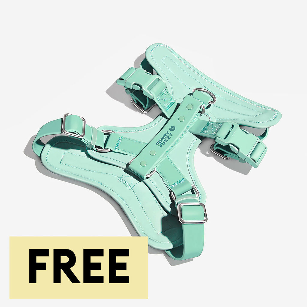 Gummy Walking Dog Harness - Pet Leashes & Collars & Harnesses main product image | Petix pet supplies for dogs and cats