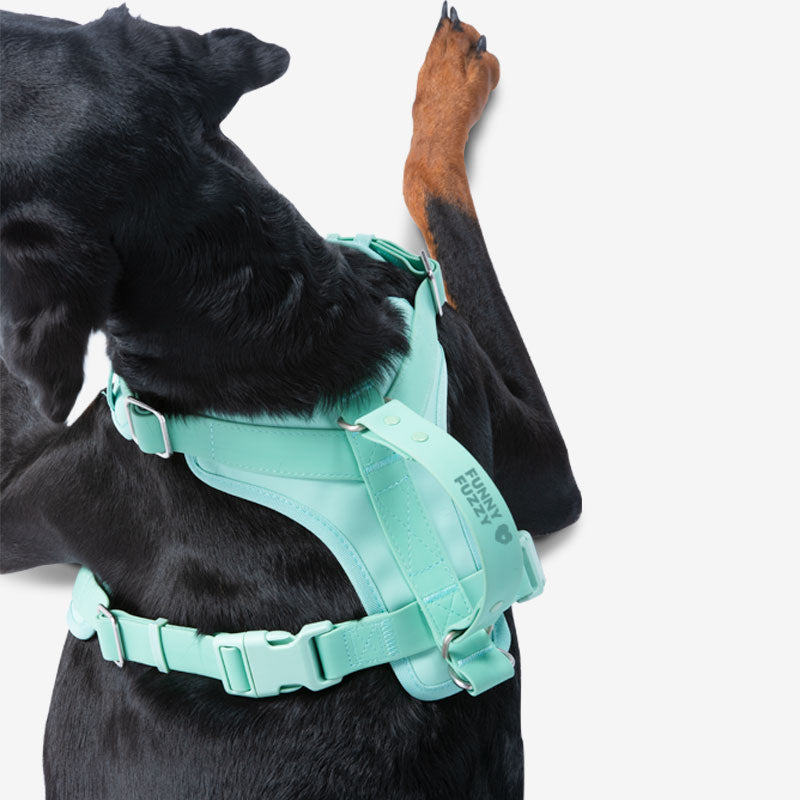 Gummy Cool Dog Accessories Walk Set - Pet Leashes & Collars & Harnesses detail view 3 | Petix pet supplies for dogs and cats