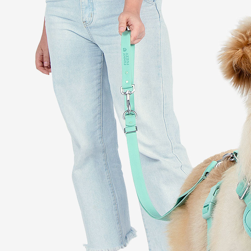 Gummy Cool Dog Accessories Walk Set - Pet Leashes & Collars & Harnesses detail view 4 | Petix pet supplies for dogs and cats